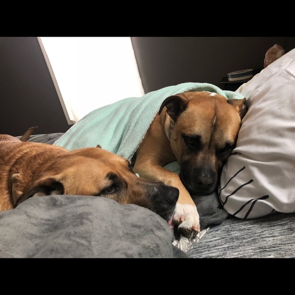 Meet your Posher, Sarah - Picture 4 of 7